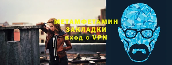 прущие грибы Дмитровск