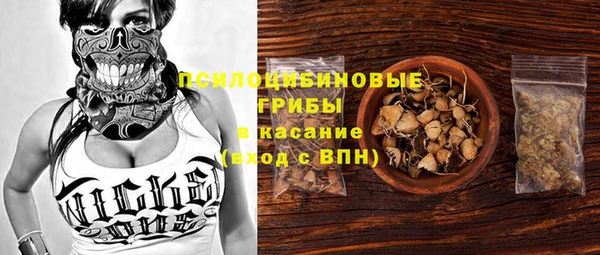 меф Дмитриев