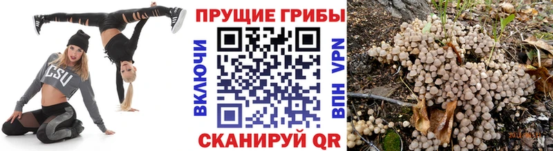 Псилоцибиновые грибы прущие грибы  Микунь 
