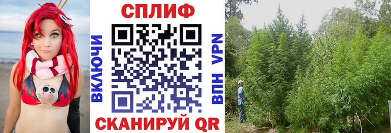 Бошки марихуана SATIVA & INDICA  hydra ТОР  дарк нет состав  Микунь 